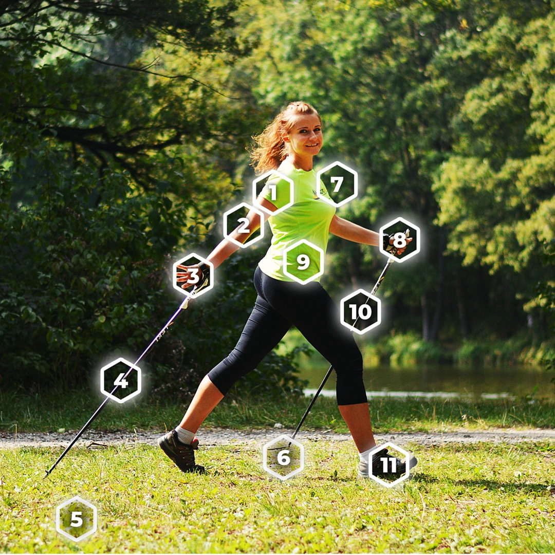 Discover the efficiency of steps with Nordic Walking!