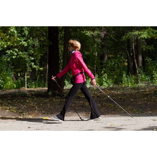 Ukraine Instructor Nordic Walking online course